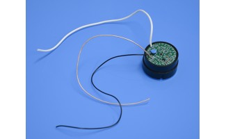 Custom Electronic Module for Detector Assemblies